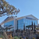 사과나무커피나무 | 사과나무가 있는 커피홀 베이커리 카페 방문 후기