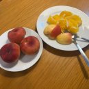 하쿠나마타타 민박 이미지