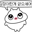 청년도배인테리어