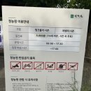 [고창 라벤더축제]청농원 다녀온 후기 -6월 라벤더 개화,주차,입장료,꿀팁 정리
