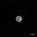 팔공산글램핑 이미지