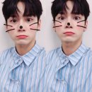 야옹야옹 이미지