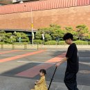팔레스장여관 | 사이즈 추천!!!(18m_24m)두돌 아기사이즈 92개더드레스 / 92 스케이터 원피스 /던스 파란딸기게더...