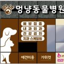 우정 동물병원 이미지