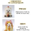 견공상회 이미지