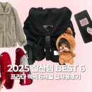 캣 프라다 | 2025 잘산템 top 6 • 프라다 백팩 스몰 • 시눈 퍼자켓 • 퓨마 스피드캣 etc