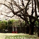 팔공노인복지관 앞 이미지