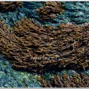 바다가 보이는 풍경 이미지