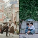 노루스냅 | [스냅 후기] 커플 스냅, 야외 스냅 작가님 추천 (벚꽃 스냅, 능소화 스냅, 골목 스냅)