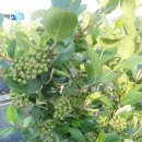 예성농장 이미지