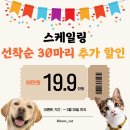 강남다온동물병원 이미지