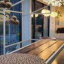 퍼피애견 이미지