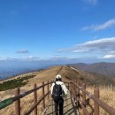 세븐일레븐 대전보문산점 | 11월 셋째주 일상, 쉬어감은 때론 더 힘찬 추진력을 위한 과정이기도 하더라