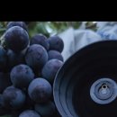 도양농장 이미지