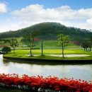 아크로 골프 이미지