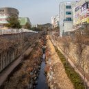 성죽천 이미지
