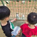 태허정로 이미지