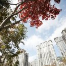 일산동구청(중) 이미지