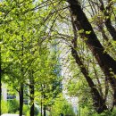 효령로 28 | [비즈니스PT] #28주차 후기