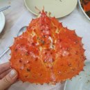 호남도매센터 네이버블로그