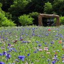 호동골공원 이미지