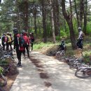 영천초등학교 이미지