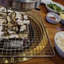샛별사 Daum카페