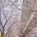 사덕상리 이미지