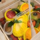 중도매인3호 이미지