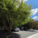 복골캠핑장 이미지