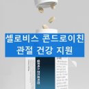 셀로비스 콘드로이친 성분과 효능 내돈내산 후기와 부작용 복용법
