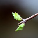 건원농장 이미지