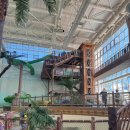 보라보라푸드팰리스 이미지