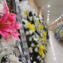 성남중앙병원 - 1723 | 성남중앙병원