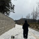 댕댕# | 경남 김해 댕댕파크 시범운영 후기!