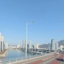 롯데캐슬자이언트아파트 이미지