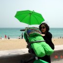 (주)그리니 이미지