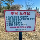 거제스포츠파크 풋살장 이미지