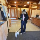 에듀통협동조합 | 숲나들e I 국립아세안자연휴양림 태국 I 내돈내산 숙박 이용후기