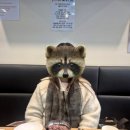 솔보프라자2 | 검단신도시 부대찌개 / 아라역 부대찌개 맛집 김뚜껑 부대찌개 검단아라점 🧡