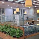 신선설농탕 작전점 이미지