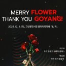 메리플라워 경기인터넷신문