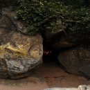 석실로7 이미지