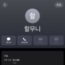 강아지 나라 이미지