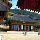 불갑사 이미지