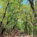 월례근린공원 이미지