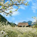 (주)이노테크미디어 이미지