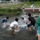 강남합기도 이미지