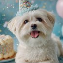 퍼스트 동물병원 이미지