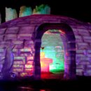 알프스애견 이미지